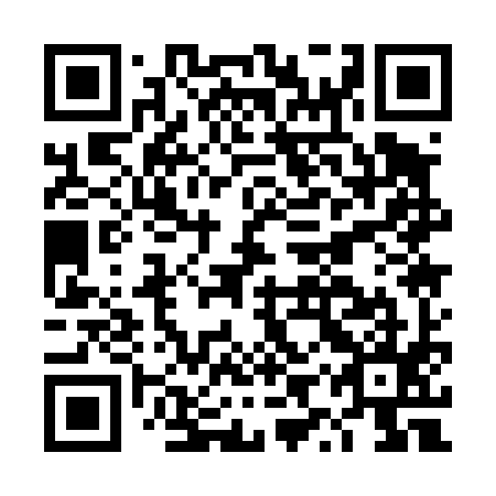 QR code for plate DYQ 495