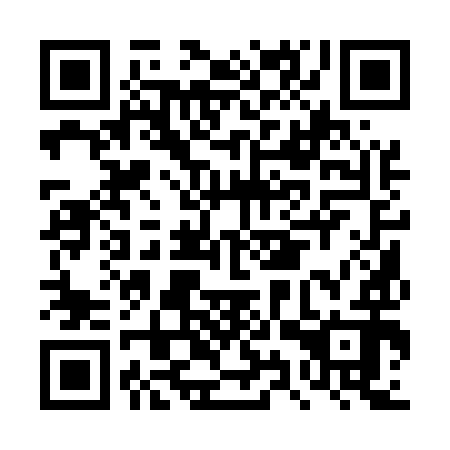 QR code for plate DYQ 592