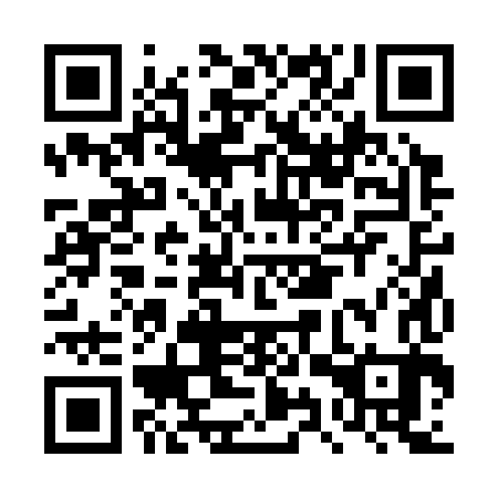 QR code for DYR 383