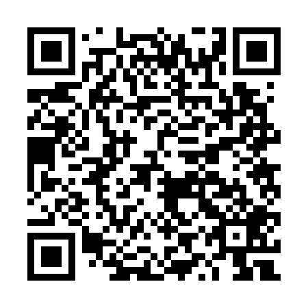 QR code for plate DYR 709
