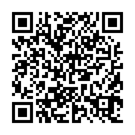 QR code for DYS 040