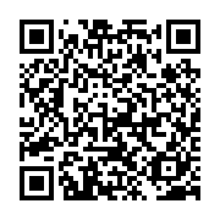QR code for DYS 220