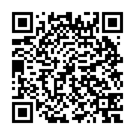 QR code for DYS 238