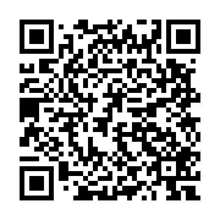 QR code for DYS 509
