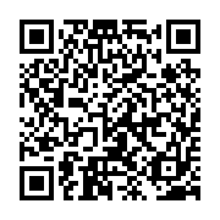 QR code for plate DYS 213