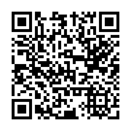 QR code for plate DYS 349