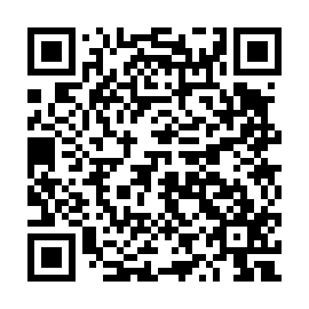 QR code for DYS417