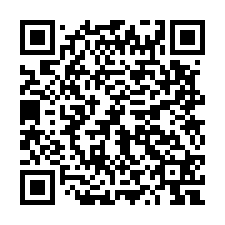 QR code for DYS520