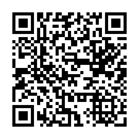 QR code for plate DYS 719