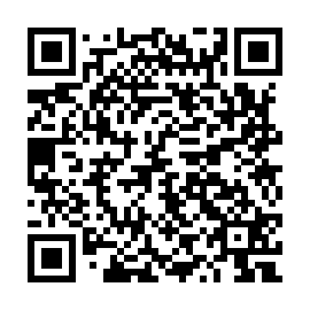 QR code for DYS921
