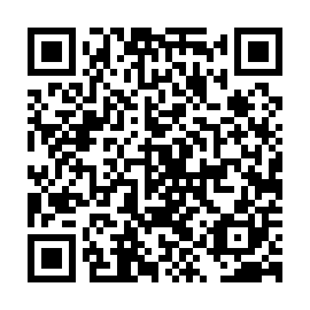 QR code for plate DYT 100