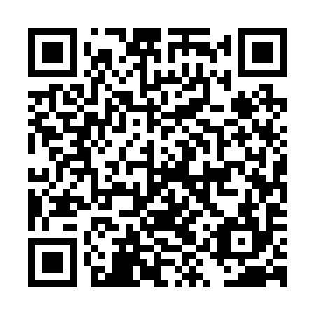 QR code for DYU294