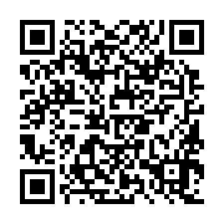 QR code for DYU394