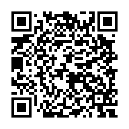 QR code for DYX 096