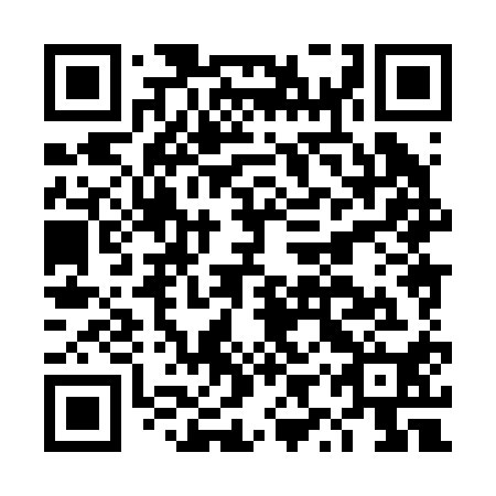 QR code for DYX 210