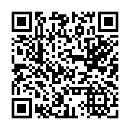 QR code for DYX 397