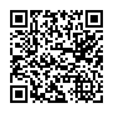 QR code for DYX004