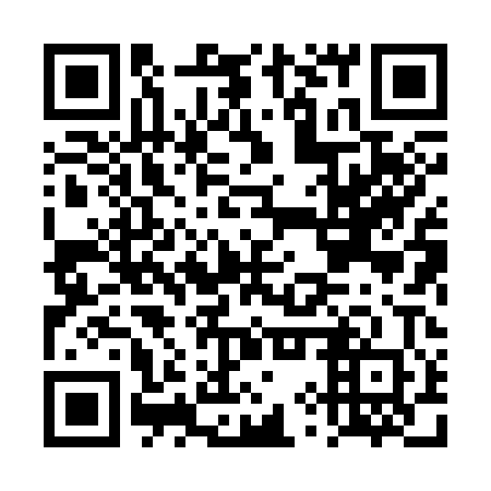 QR code for DYX300