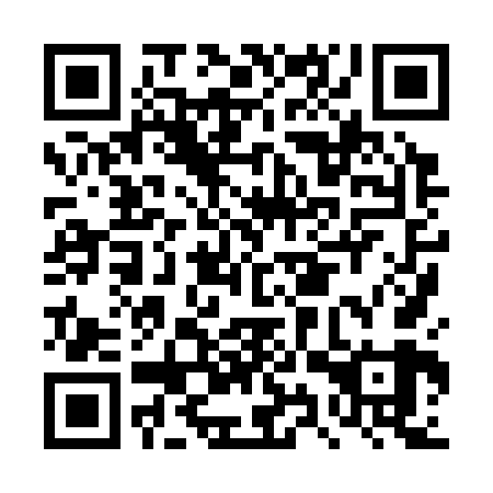 QR code for plate DYX 369