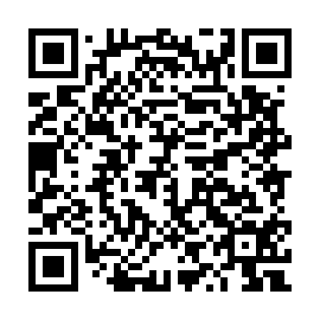 QR code for plate DYX 514