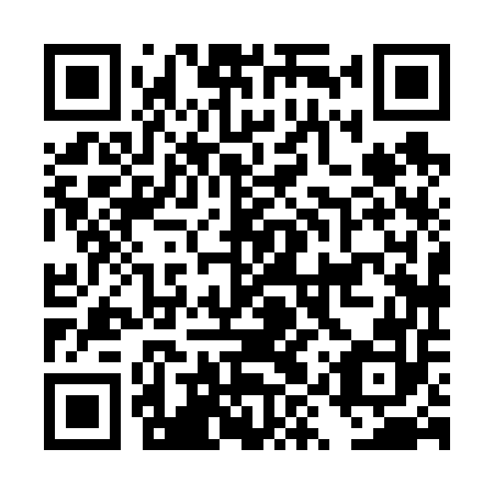 QR code for plate DYX 652