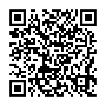 QR code for plate DYX 973