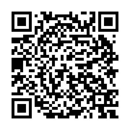 QR code for DYY 233