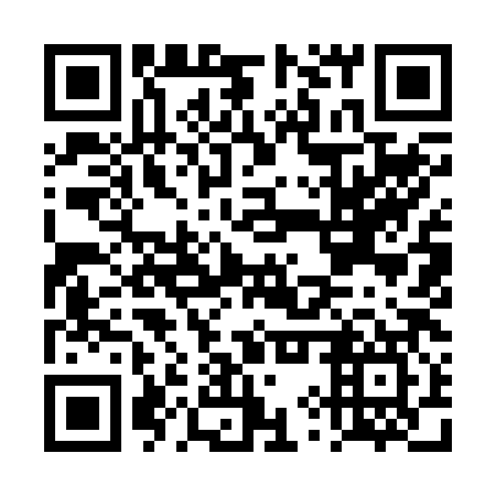 QR code for DYY 287