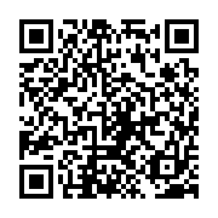 QR code for DYY 313