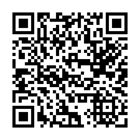 QR code for plate DYY 399