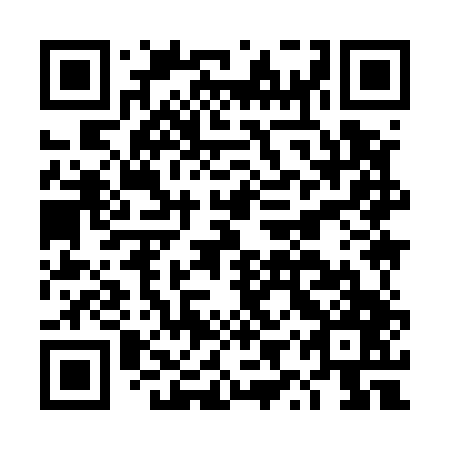 QR code for plate DYY 547