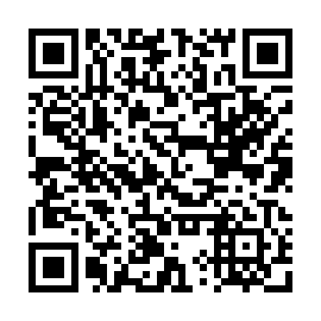 QR code for DYZ 101