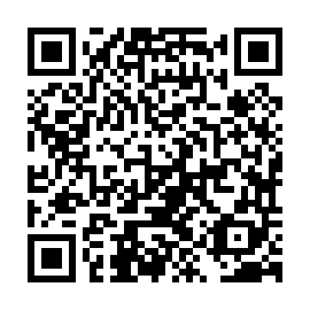 QR code for plate DYZ 048