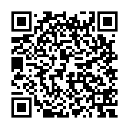 QR code for plate DYZ 118