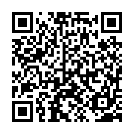 QR code for plate DYZ 217