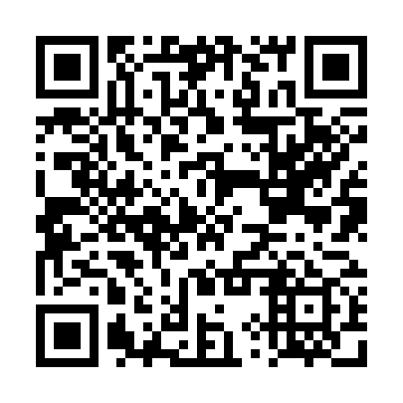QR code for plate DYZ 379