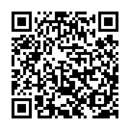 QR code for DZ 0691