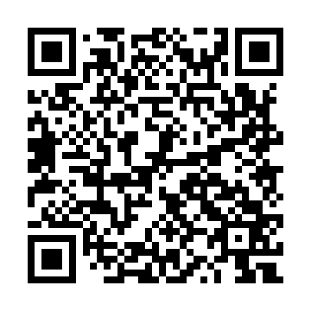 QR code for DZ 0963