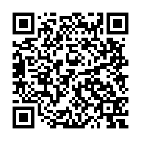 QR code for DZ0533