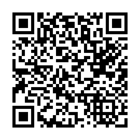 QR code for DZ1333