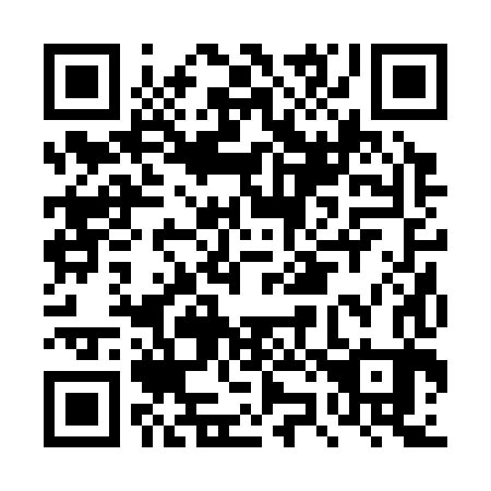 QR code for DZ2383