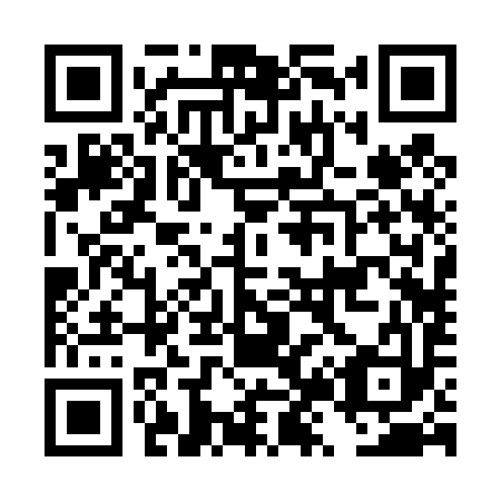 QR code for plate DZ 2493