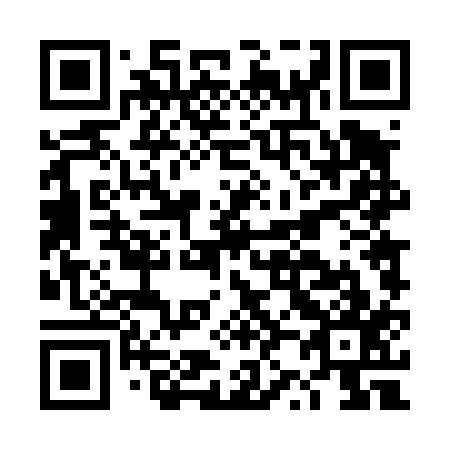 QR code for DZ4417