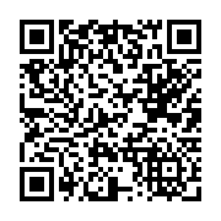 QR code for DZ6336