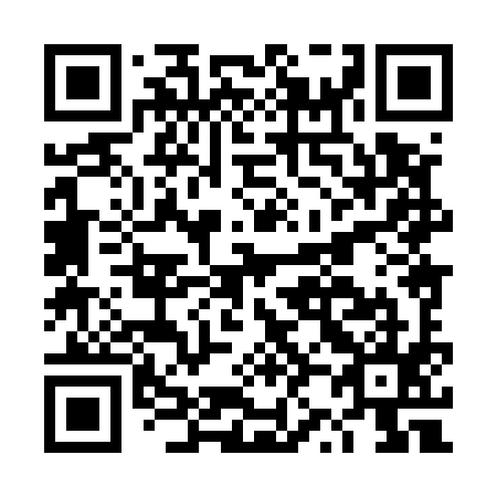 QR code for plate DZ 8595