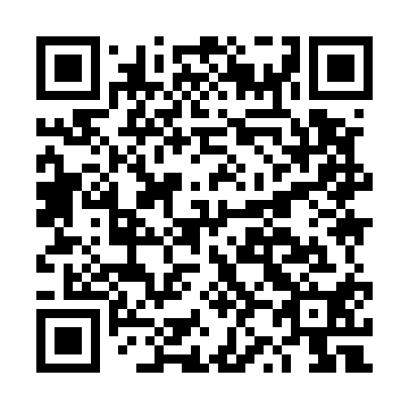 QR code for DZ9510
