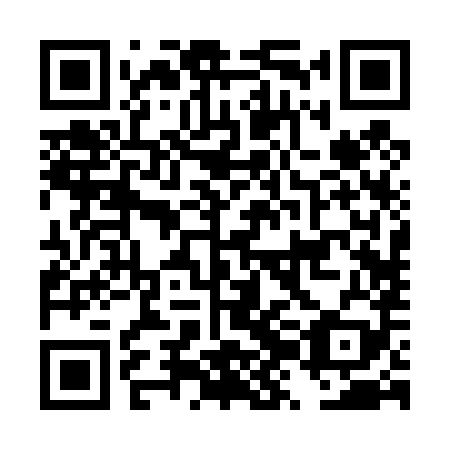 QR code for DZB 489