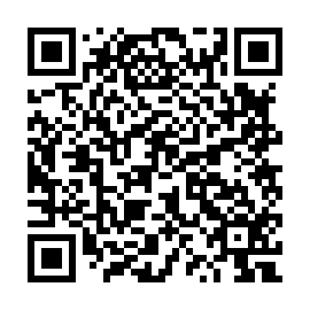 QR code for DZB 816