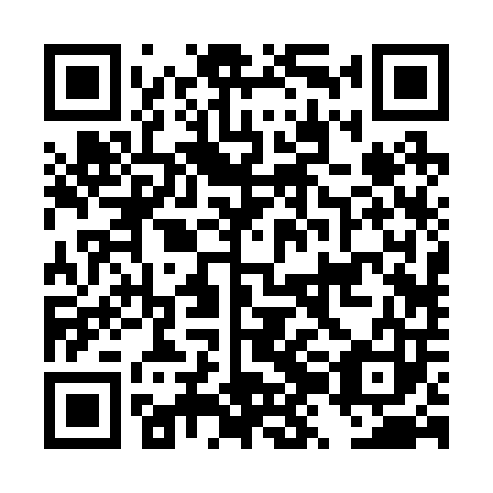 QR code for DZB203