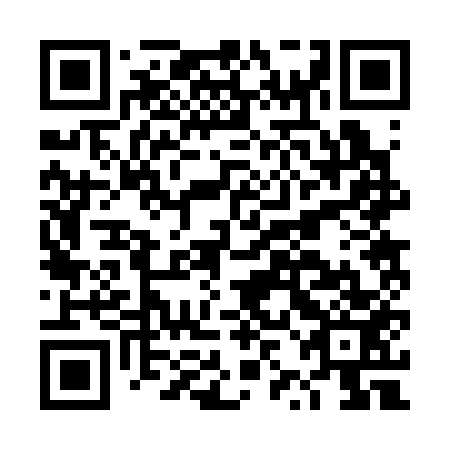 QR code for plate DZB 353